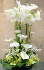 心花怒放 專業花卉服務，傳遞美好情感