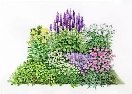 101張超高清精品手繪花境，驚艷你的家居視覺體驗